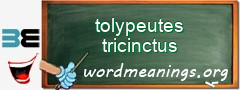 WordMeaning blackboard for tolypeutes tricinctus